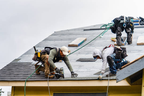 Professional Gutter Installation technician working in Roseville, MN
